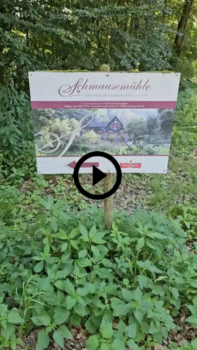 Video abspielen
